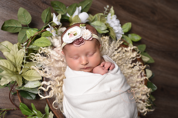 Meet Aubree. Short and sweet newborn session. Brookpark, OH Photographer
