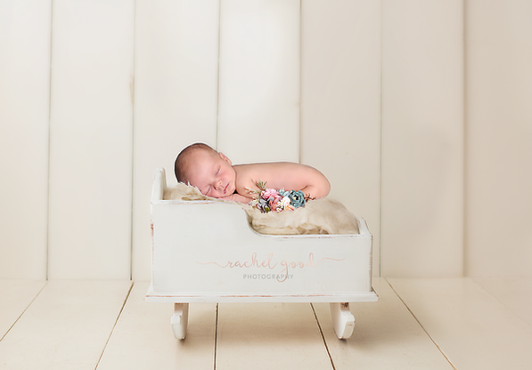 Braelyn's Elite Newborn Session. 16 days new.