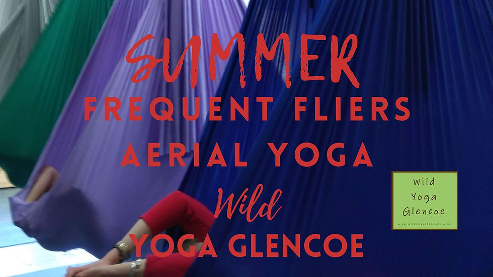 SUMMER Frequent Fliers Aerial Yoga Afternoon