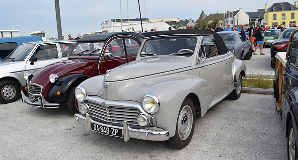 DSC_0037.JPG