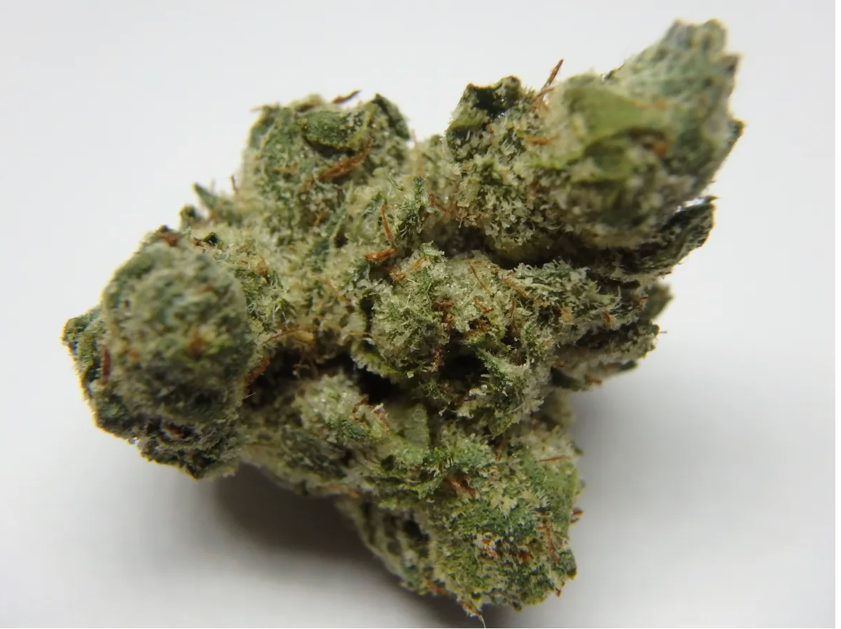 True OG - 1/2oz