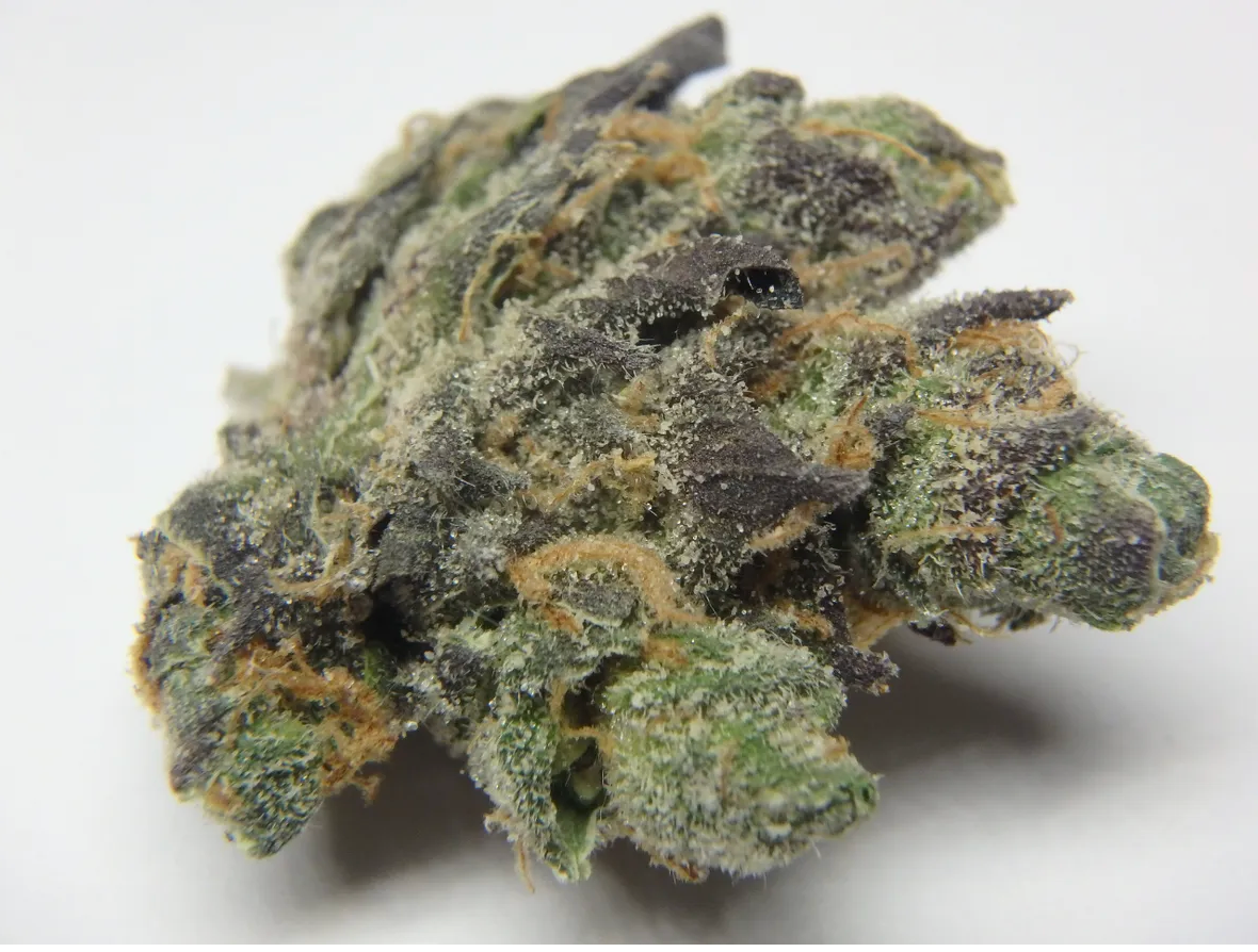 MOB - small buds