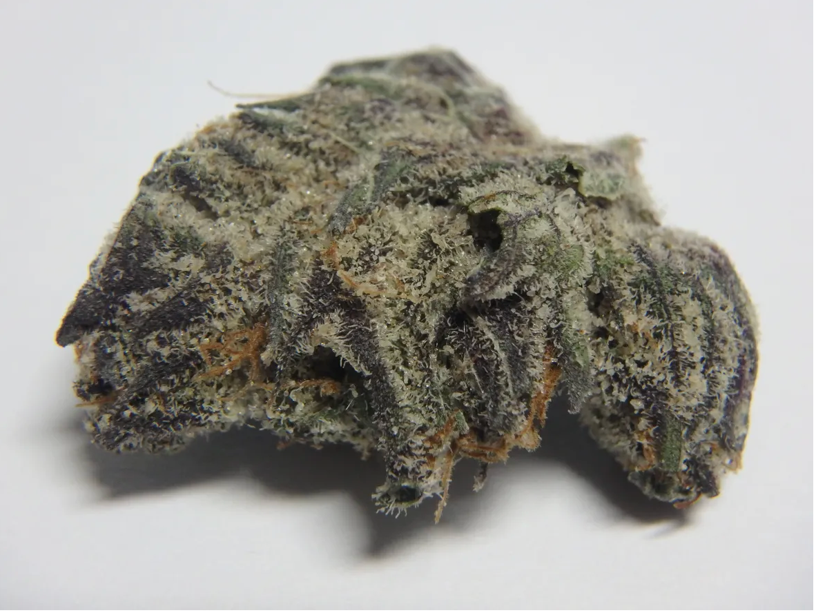 Black Truffle