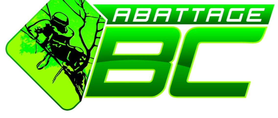 Abattage, émondage, arboriste