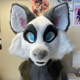 Full suits, partials and premade