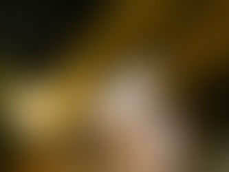 【九龍塘的浪漫.深夜食堂】日頭食飯 夜晚飲酒 浸大人依存的「孤島」