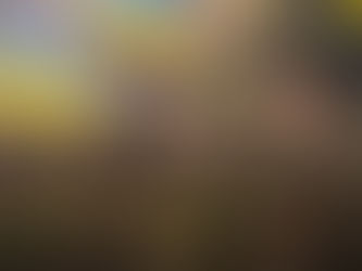 詩、槍枝與向日葵︰戰火中的烏克蘭女性