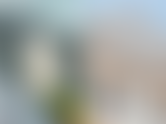 Marina Bay Sands vs Raffles Singapore