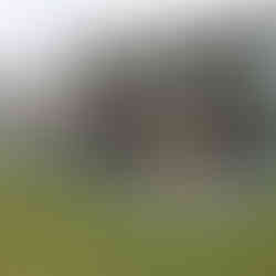 Deckmasters Trex decking and design