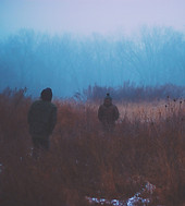 Forest Walk