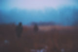 marche dans les bois à l'aube