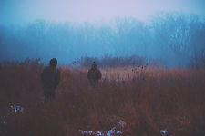 Forest Walk