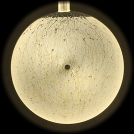 bulle de savon photographie dd'art projet science