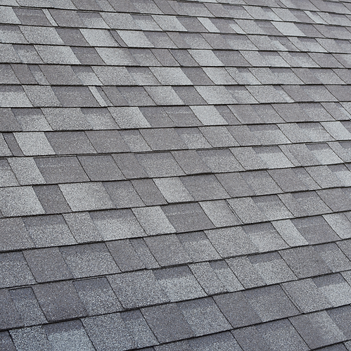 Shingle.png