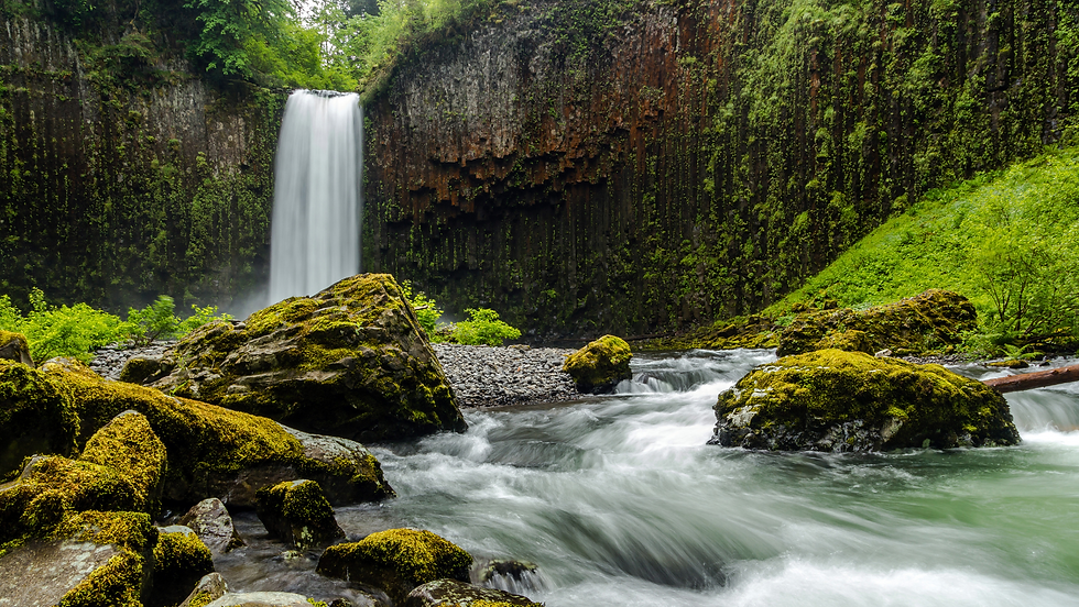 Roof and Gutter Repair