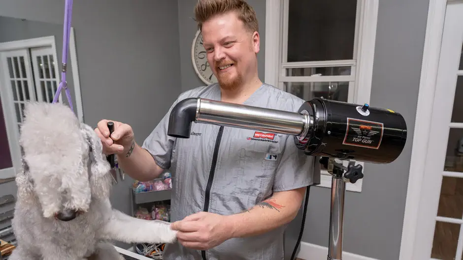 Thumbnail: MetroVac Air Force® Top Gun® Variable Speed Pet Dryer