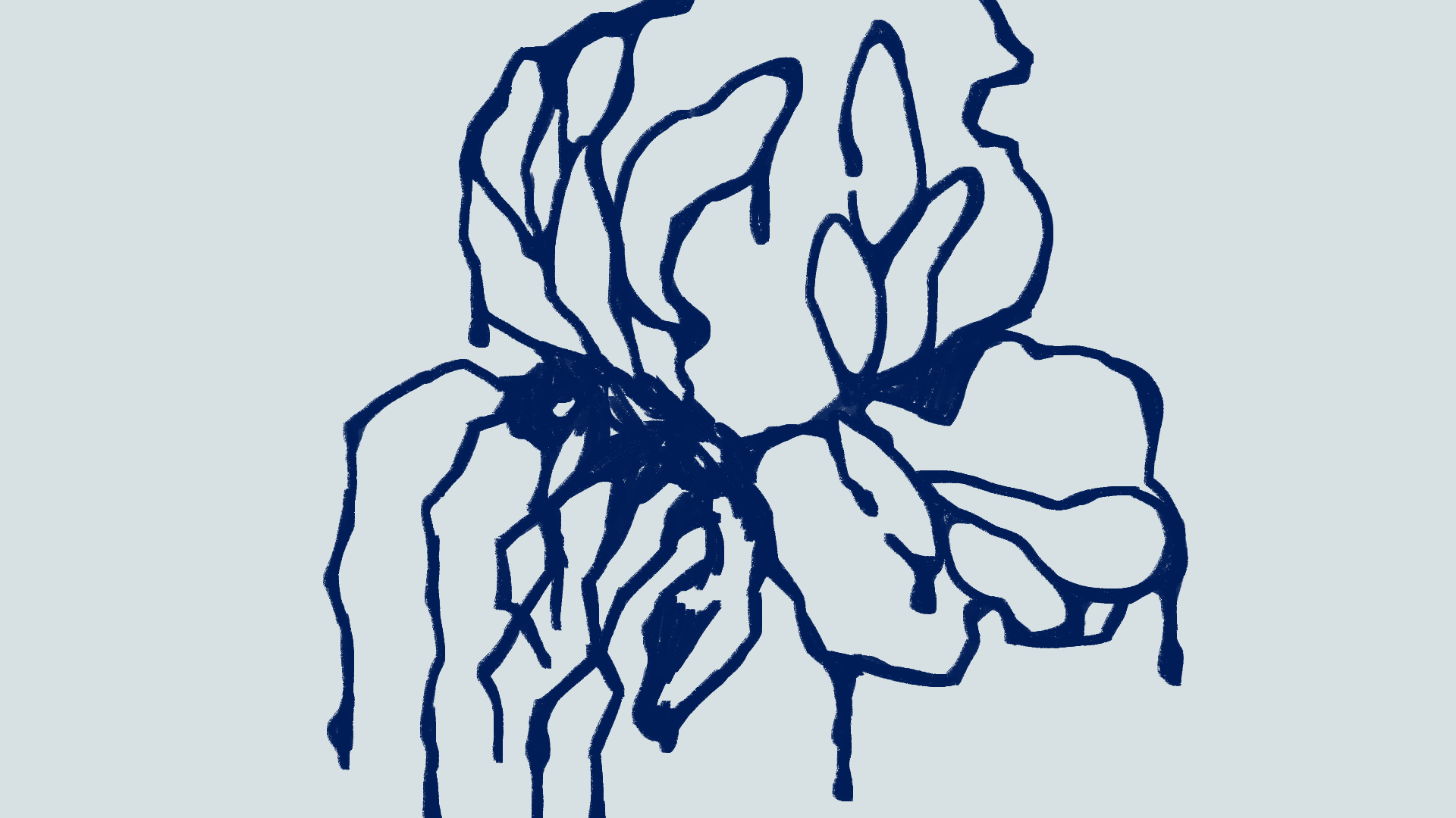 25.png