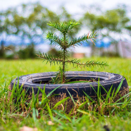 A sustentabilidade eficaz reutiliza os resíduos