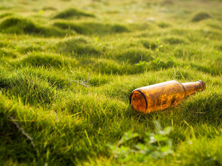 Dia Mundial da Conservação da Natureza: Construir Hoje a Sustentabilidade de Amanhã