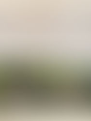 Virtual Reenactment 2020