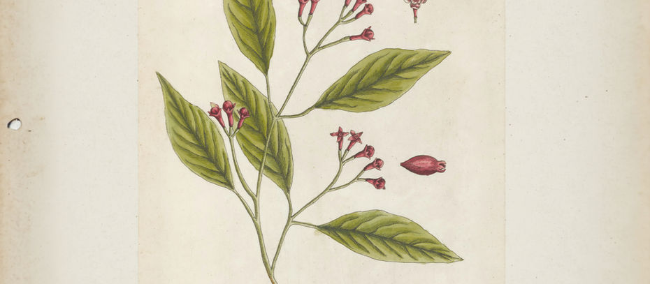 Öykü- Murat Boğurcu- Bir Demet Mekhag