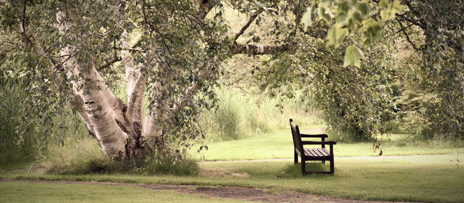 Öykü- Hasan Çalışkan- Kavak Ağaçlarının Altında Barışma