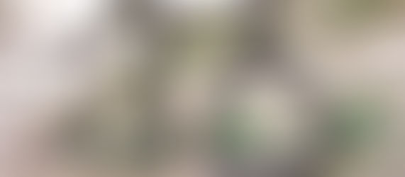 Öykü- Özay Erdem- Bir Dolmuş Yolcusunun Kitap Okuma Serüvenleri