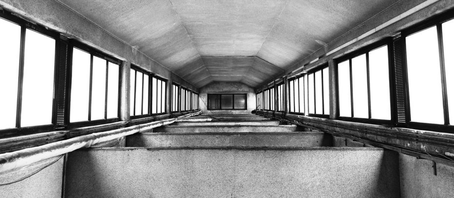 Öykü- Sema Öztürk- Yabancı