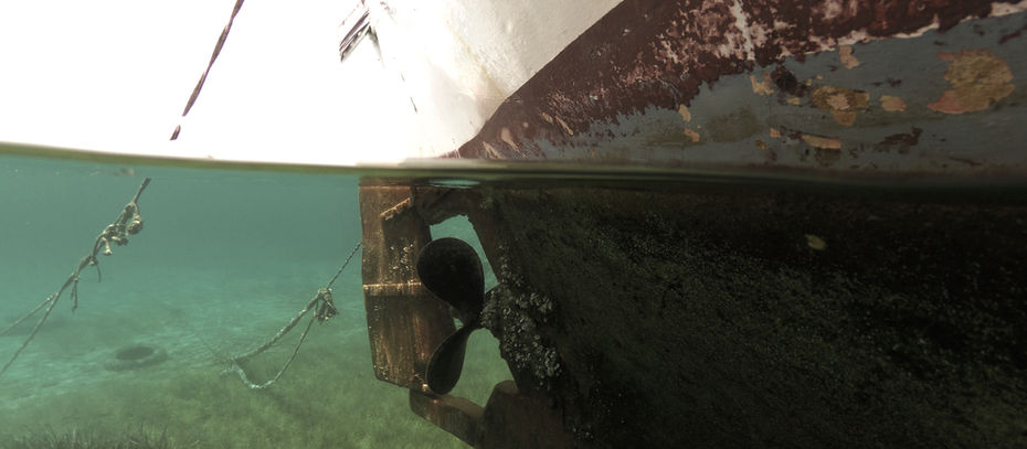 Öykü- Murat Gözelov- Denizi Kazıyan Adam