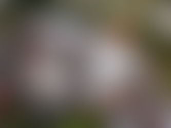 36ª Oktoberfest de Igrejinha divulga programação completa da festa