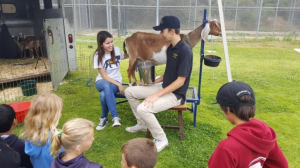 Luke O’Leary and Clare Backens educating students about goats at the goat station.