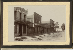 Palm Street
