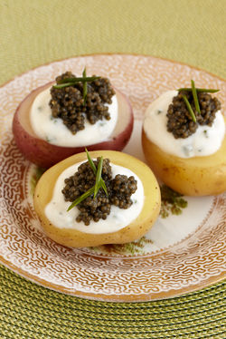 Alex Hitz - My BH Kitchen