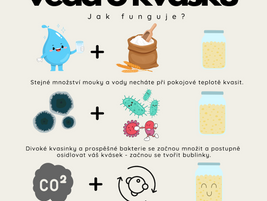 Kvásková věda: Symbióza divokých kvasinek a bakterií
