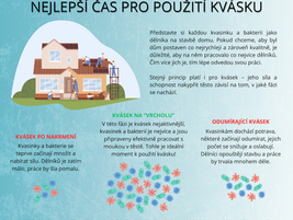 Kdy je nejlepší čas pro použití kvásku a proč?