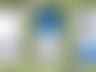 Fan ID para ingresar al Pachuca vs Monterrey: como generarla
