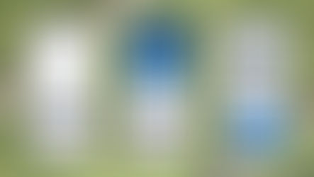 Fan ID para ingresar al Pachuca vs Monterrey: como generarla