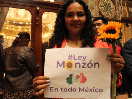 Puebla aprueba Ley Ácida y Ley Monzón