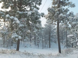 Pronóstico de aguanieve y nieve para la Sierra Chihuahuense