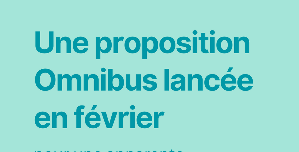Carroussel de texte : Omnibus a proposé en février des changements sur le CSRD