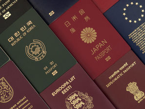 The Ultimate 2025 Guide to Fast-Track Second Passports by National Contribution