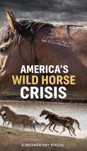 WIld-Horses-In-Crisis_Poster_edited.jpg