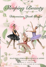 Sleepying Beauty.jpg