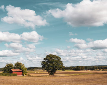 FramedByGustaf 
Gustaf Wiking