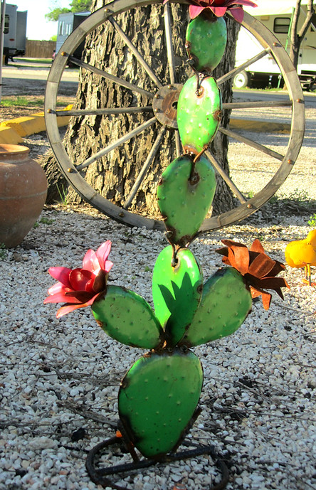IMG_4408_edited.jpg