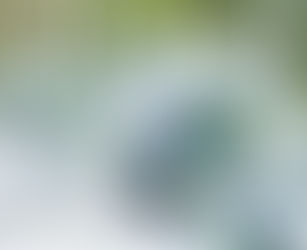 TOP 3 WEDDING COLORS