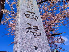 フォトギャラリー HAMAZAKI Act.1