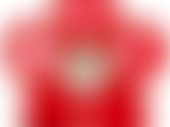 ご成人おめでとう!