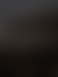 Best of 2015 | Street Art