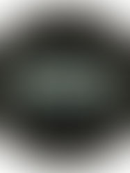 Famous Tattoo Studio